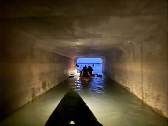 11000005681505_tebfAVHp_4