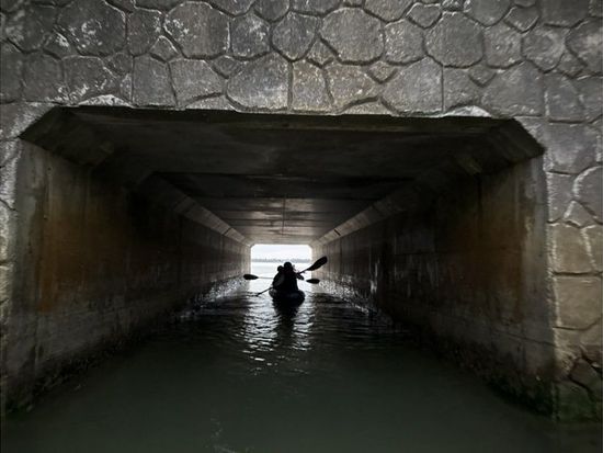 11000005681503_tebfAVHp_4