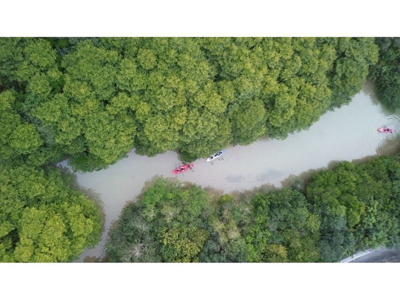 11000005681507_tebfAVHp_4