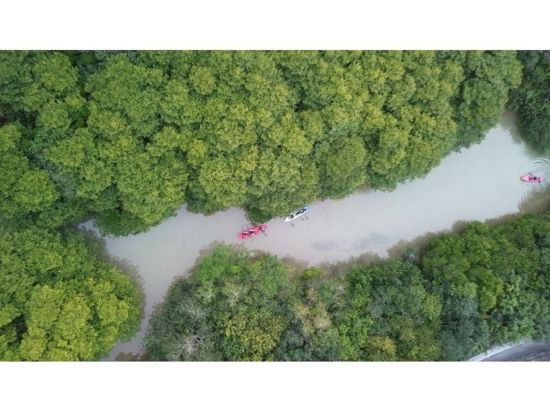 ナイトカヤックマングローブ探検 星空の下で幻想体験♪お子様も一緒に楽しめる夜の冒険へ 神秘的な世界へLet's Go！＜約60分／宮古島＞