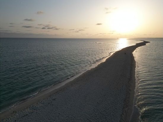 11000005667209_tebfAVHp_4