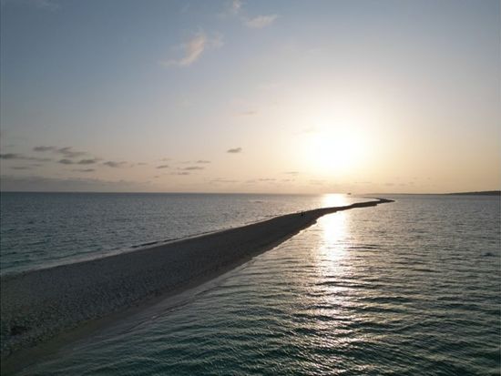 10000005667201_tebfAVHp_4