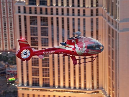 Papillon Night Flight 2