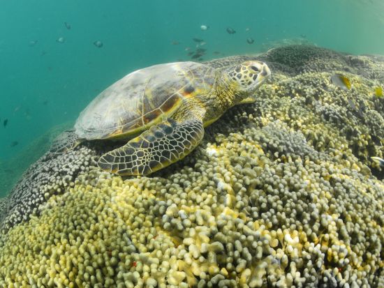 【キャプテンブルース・サンドバーツアーご予約の方限定】カジュアルフォトまたはウェディングフォト　ツアーにカメラマンが同行しサンドバーで撮影！＜貸切／20カット＞