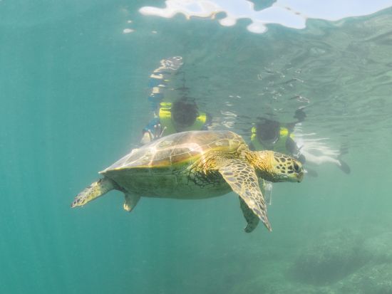 【キャプテンブルース・サンドバーツアーご予約の方限定】サンドバーツアーにカメラマンが同行！絶景のサンドバーを背景に思い出に残る写真を撮影＜20カット＞