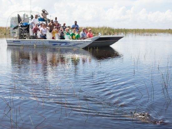 SawgrassRecreationPark_Go_MIA_explorer