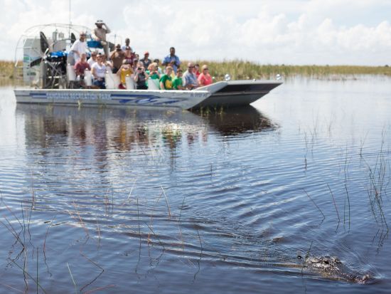 マイアミ　Go City エクスプローラーパス　2～5つのアトラクションをお得に体験