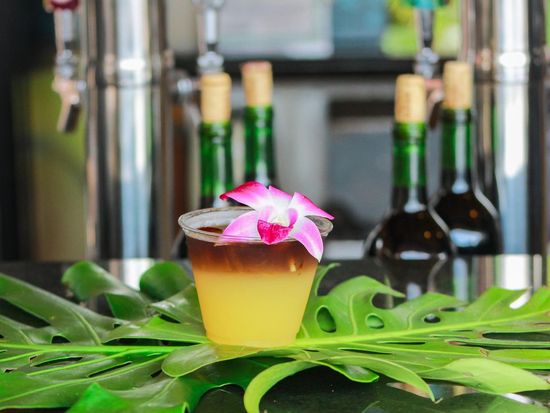 20230214205637_795628429_2152_0