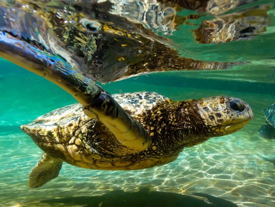 20240419230913_1241089190_2152_0