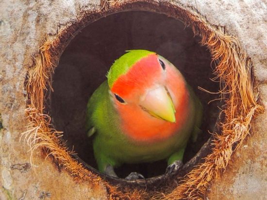 20240419233503_1529729794_2152_9