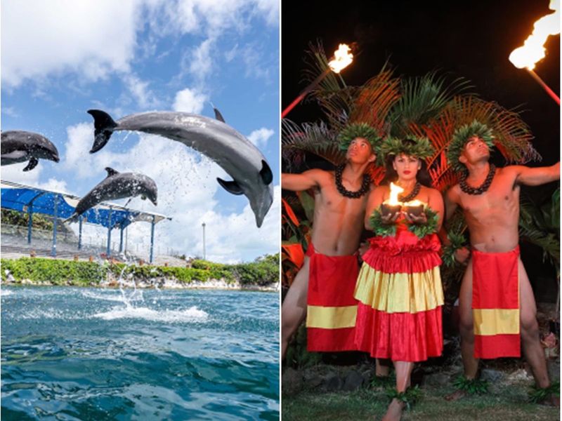 20240724083735_1365246317_2152_0