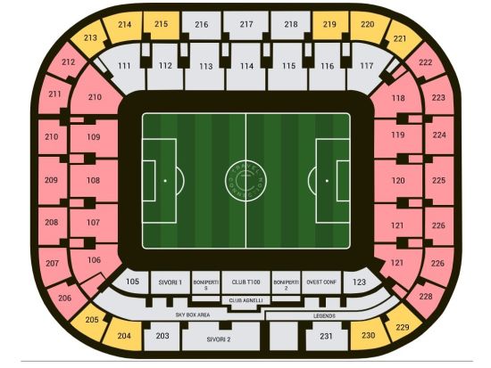 ユヴェントス サッカー観戦チケット＜ホームゲーム／トリノ＞