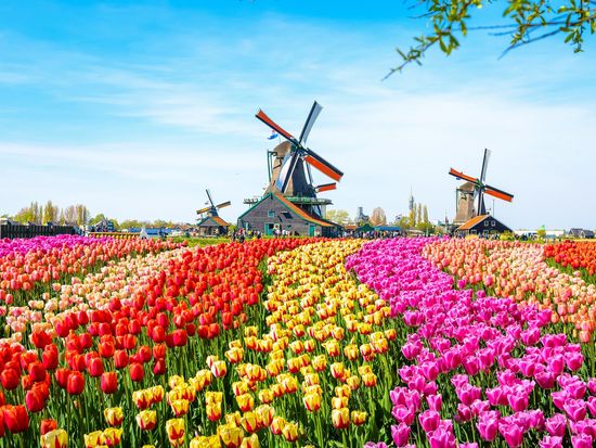 Amsterdam_Zaanse Schans_2