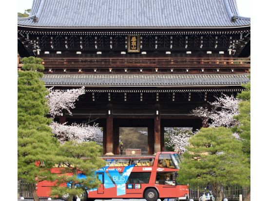 オープントップバス 開放感あふれるバスで二条城や西本願寺など名所を車窓観光＜京都駅発＞by おこしバス（京都定期観光バス）