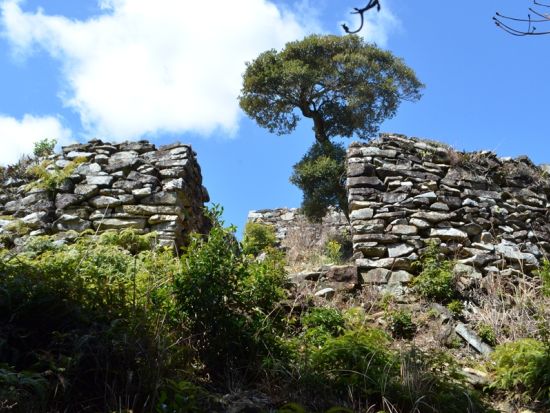 【朝活トレッキング】清水山城跡ハイキングツアー 絶景と歴史を地元ガイドがご案内＜対馬／初心者歓迎／1時間半＞