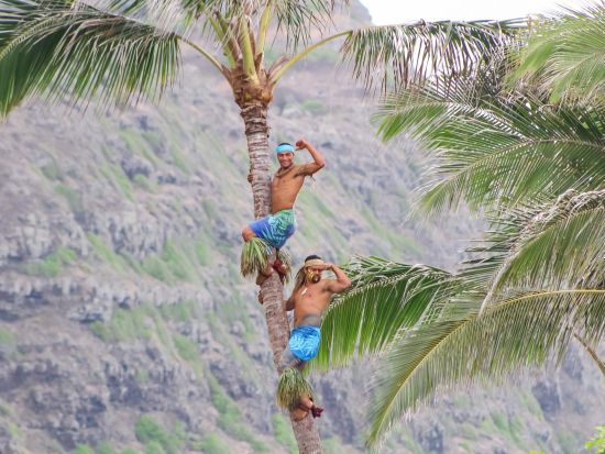 Aloha_Kai_Luau_Tree_Climbing_Duo