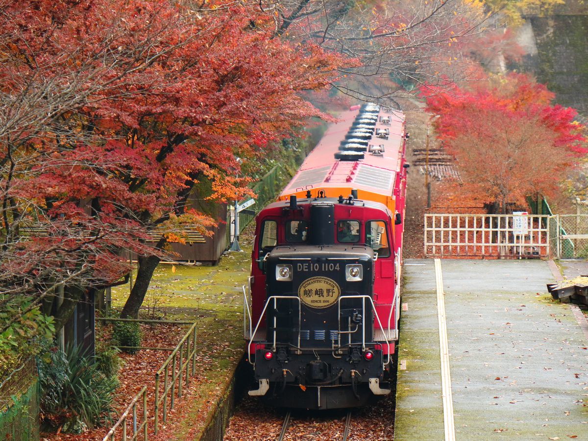 嵯峨野トロッコ列車（LINKTIVITY） | 京都の観光&遊び・体験・レジャー