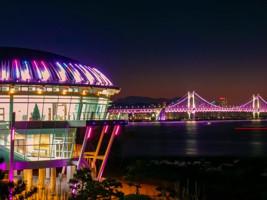 shutterstock_1615566688