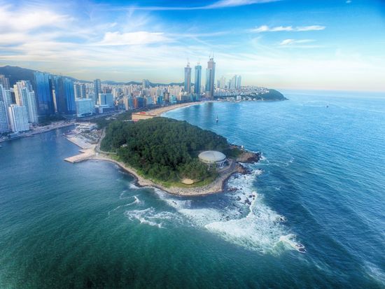 shutterstock_1442477852