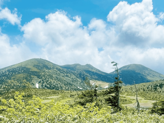 ④コースの途中から八甲田を望む-8