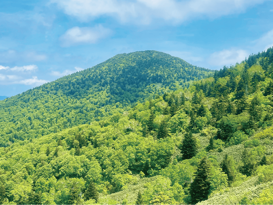 ③コースの途中から八甲田-8