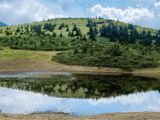 ⑤田茂范湿原-8
