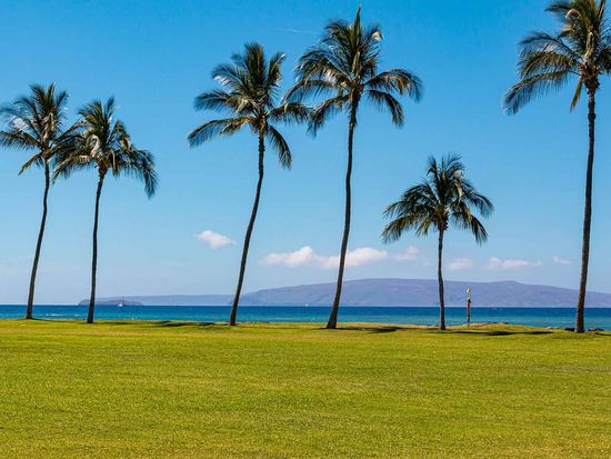 shutterstock_2589654647