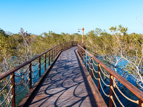 Jubail_island_Abu_Dhabi_shutterstock_1672364179