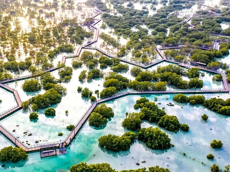 Jubail_Mangrove_from_high_view_shutterstock_1929462653