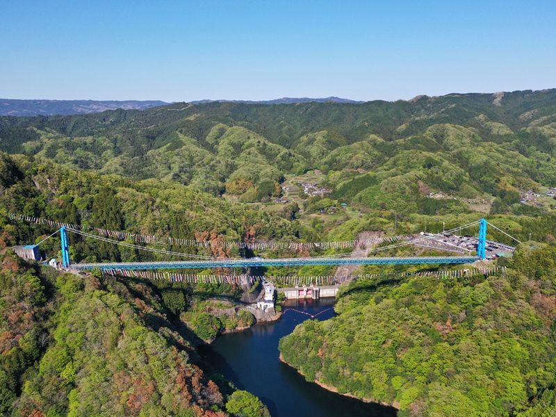 pixta_50616373_M.jpg のコピー