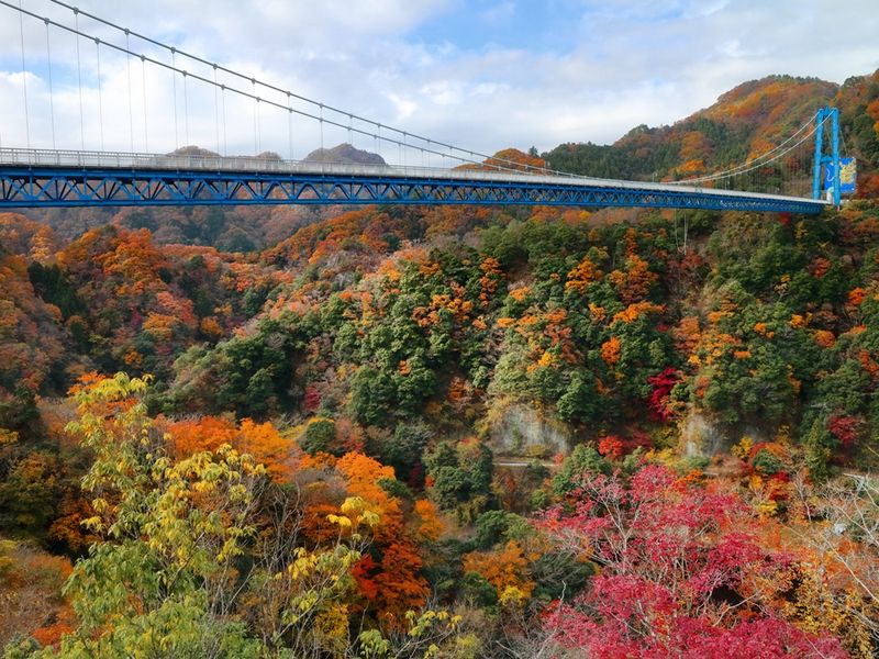 pixta_91530889_M.jpg のコピー