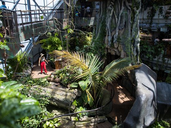 23_The Green Planet (1)