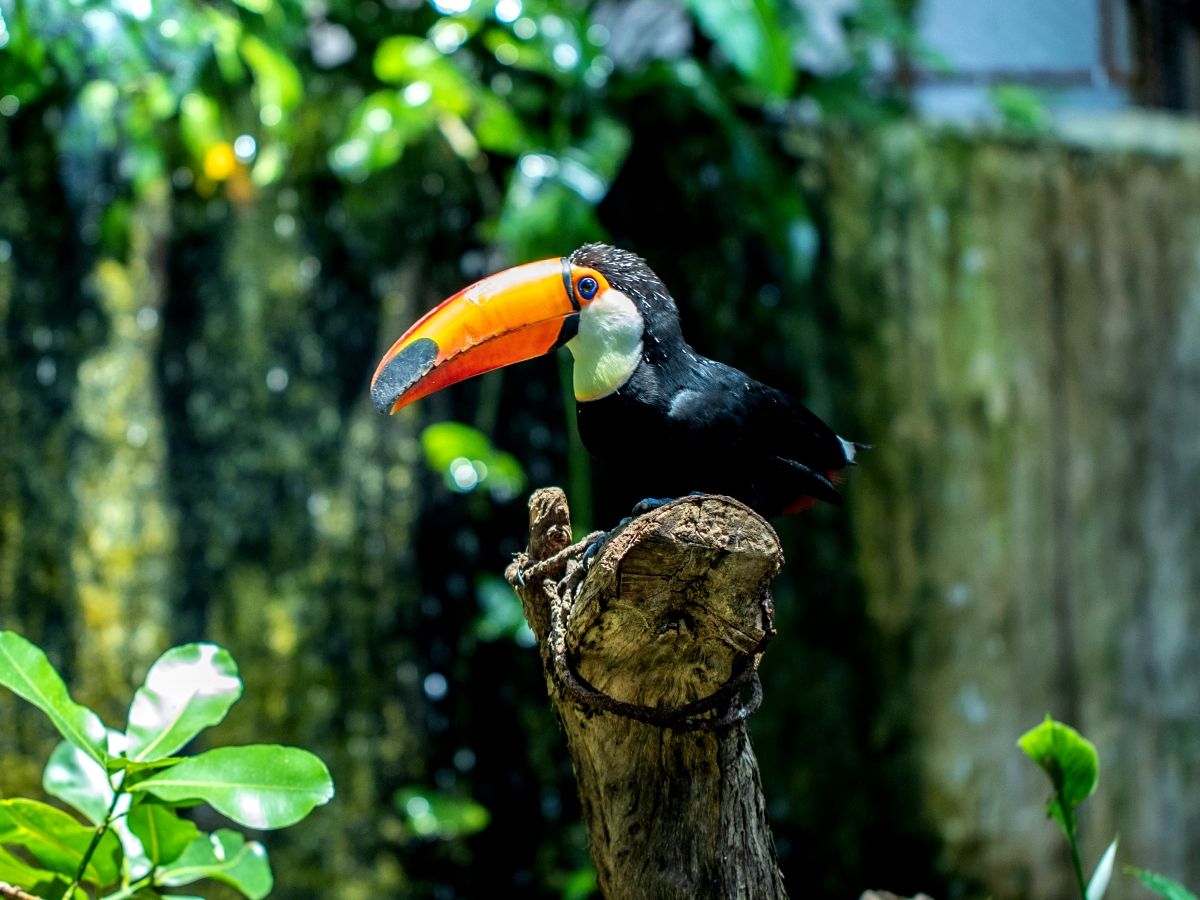 20250825055221_1680023643_1771