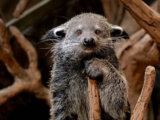 ザ グリーンプラネット ドバイ 入場チケット予約 ＊申込と同時に即予約確定