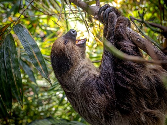 ザ グリーンプラネット ドバイ 入場チケット予約 ＊申込と同時に即予約確定
