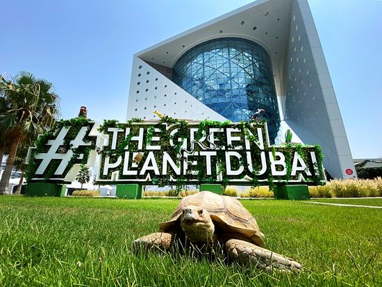 12_The Green Planet (1)