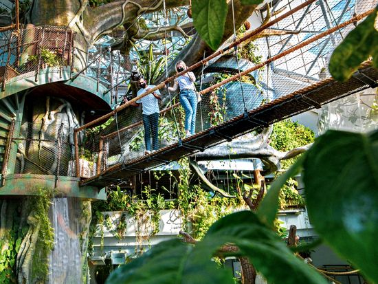 15_The Green Planet (1)