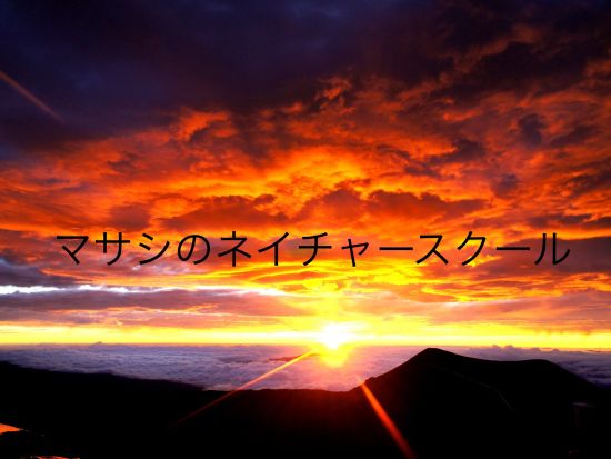 ハワイ島1泊2日ツアー　島内観光＋マウナケアサンセット星空ツアー＜貸切／コナ泊／往復航空券付き／日本語ガイド＞
