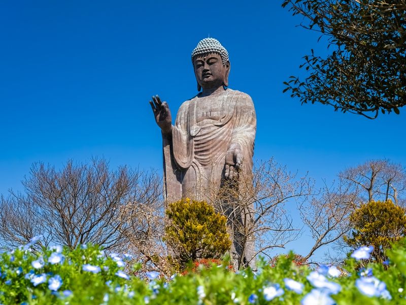 pixta_66140928_M.jpg のコピー