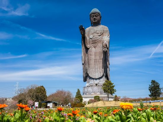 pixta_66140909_M.jpg のコピー