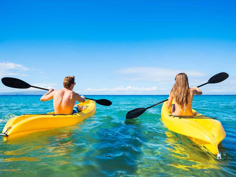 shutterstock_231784690