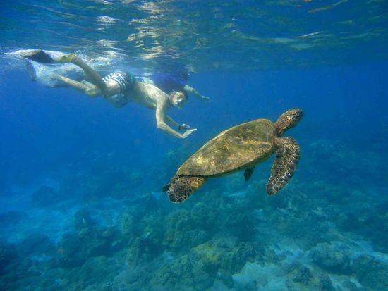 shutterstock_1023997621