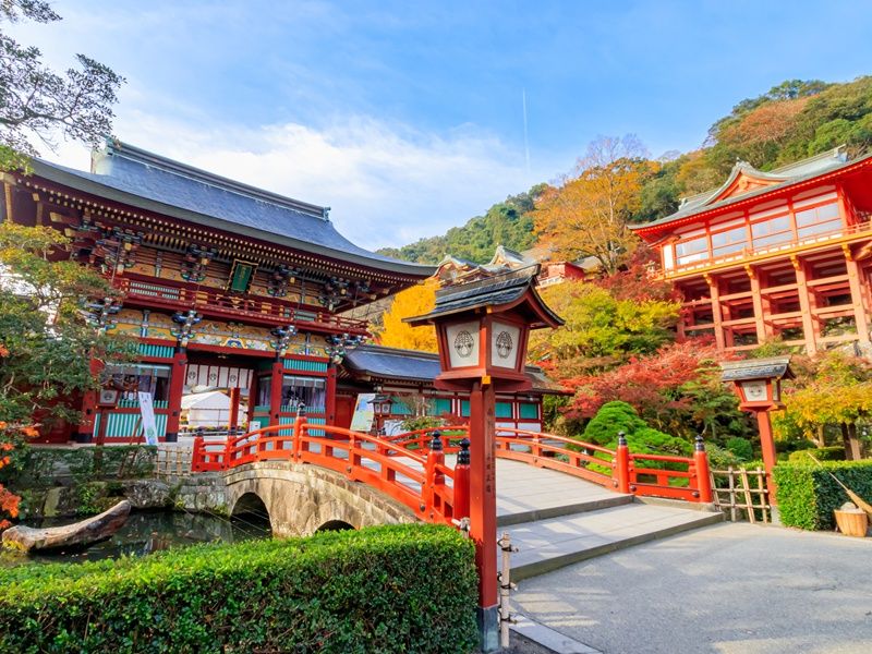 pixta_73443642_M (1)