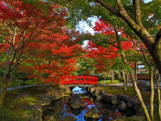 武雄市内発着貸切観光タクシー　祐徳稲荷神社＋肥前浜宿＋HAMA BAR　お酒好きにおすすめ！アレンジOKな鹿島の地酒満喫ツアー＜4時間／最大9名＞