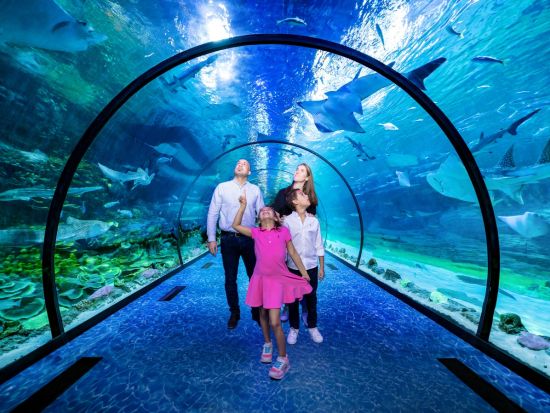 国立水族館アブダビ（The National Aquarium Abu Dhabi）入場チケット予約 ＊申込と同時に即予約確定