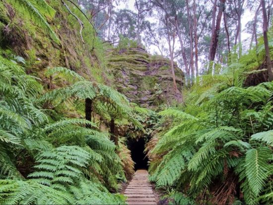 世界遺産ブルーマウンテンズ＆土ボタル観賞ツアー　スリーシスターズ＋4WDオフロードドライブ＋シーニックワールド＜日本語ドライバーガイド／シドニー発＞