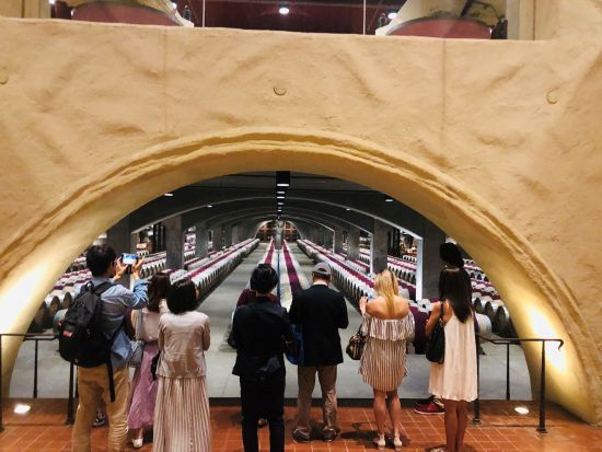 ナパバレーワイナリーツアー　日本語ソムリエガイド同行で厳選ワイナリー2～3軒を巡る＜貸切／最大9名／サンフランシスコまたはナパ発＞