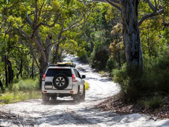 世界遺産ブルーマウンテンズ＆土ボタル観賞ツアー　スリーシスターズ＋4WDオフロードドライブ＋シーニックワールド＜日本語ドライバーガイド／シドニー発＞