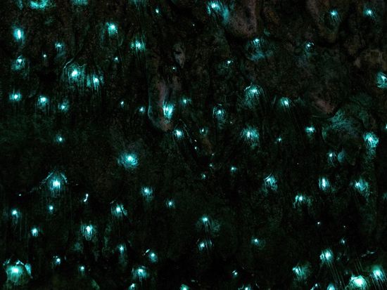 shutterstock_1358849453