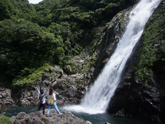 屋久島 貸切 西部の森ハイキング　亜熱帯の森と動物たちに出会う　大川の滝＆永田浜を巡り屋久島の大自然を満喫＜初心者歓迎／1日＞